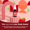 Vitamin B12 Sublingual Liquid Drops (5000 mcg) Plus B1 & B6 in Fastest Absorption Way. Best Formula to Support Brain Cells & Nerve Tissue, Enhance Red Blood Cell Function, Increase Energy & Metabolism