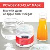 Deep Cleansing Powder-To-Clay Beauty Mask
