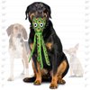 TUFFY - World's Tuffest Soft Dog Toy - Ocean Squid - Squeakers - Multiple Layers. Made Durable, Strong & Tough. Interactive Play (Tug, Toss & Fetch). Machine Washable and It Floats. (Green 2 Pack)