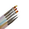 Beautifultracy 5 Pieces Nail Brushes Set Nail Design Brushes Nail Tools for Drawing Nail Polish Pens for Nail Art Design