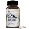 HAPPY FOX Sea Moss Capsules Burdock Root, Bladderwrack & Irish Sea Moss Capsules Organic, No Fillers, 90 Vegan Caps - Made in USA Seamoss Pills - Alternative to Sea Moss Gummy, Sea Moss Powder