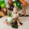 TERJIO Lion King Birthday Hat - Wild One Birthday Party Decorations,Forest Lion Crown,Jungle Safari Party Decor,Boy Lion King Birthday Hat Outfit.