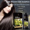New Trends Hair Color Shampoo, Dark Brown - Instant Hair Color for Grey Hair, Ammonia Free, PPD Free, 16.9 Fl Oz (1 Bottle), Natural Henna, Herbs and Botanicals, Aloe Vera, Coconut Oil, Honey
