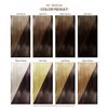 Adore Semi Permanent Hair Color - Vegan and Cruelty-Free Brown Hair Dye - 4 Fl Oz - 107 Mocha (Pack of 2)