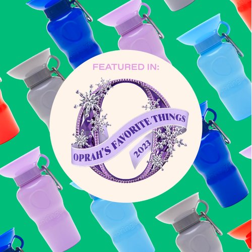 Springer Dog Water Bottle | Portable Travel Water Bottle Dispenser for Dogs - As Seen on Shark Tank | Patented, Leak-Proof Bottles Fill Bowl with Water - Ideal for Walking | BPA-Free 22oz Indigo