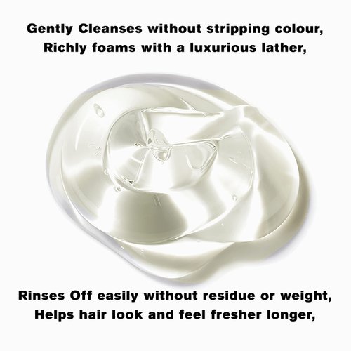 NORMADENSE 2 Vegan Shampoo for Thinning Hair and Hair Loss. Biotin Shampoo for Dry, Fine, Frail, Brittle, Thin Looking Hair, Visibly Lacking Density (10.1 Fl Oz) (10.1 Fl Oz)