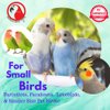 Bonka Bird Toys 2165 Small Rainbow Mat Swing Perch Bird Toy