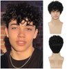 Daiaces Mens Curly Wigs Black Short Wig Synthetic Heat Resistant Costume Wig Mens Daily Cosplay Party Halloween