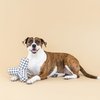Fringe Studio "GAME ON PAINTED GINGHAM 3D Canvas Dog Toy, PetShop Collection (523032)