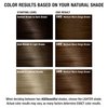 AGE beautiful Permanent Hair Color Dye Liqui Creme | 100% Gray Coverage | Anti-Aging Haircolor | Biotin for Thicker, Fuller Hair | Professional Salon Coloring | 5WB Medium Warm Beige Brown