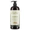 Cliove Shampoo | Hair Moisturizing Keratin Protein Treatment Infused with Argan Oil and Olive Oil | Anti Frizz Shampoo for Curly Wavy, and Straight Hair |16oz