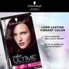 Schwarzkopf Color Ultime Permanent Hair Color Cream, 3.3 Amethyst Black