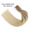 Sassina 16 Inch Balayage Invisible Tape in Hair Extensions Human Hair Chestnut Brown to Platinum blonde Real Hair Extensions Tape in Double Side Glue in Real Hair Extensions 50g 20pcs/per set, B8-60