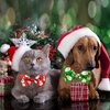 Christmas Cat Bow Tie Collar with Bell, 2 Pack Holiday Kitty Kitten Santa and Snowman Collar for Male Female Girls Boys