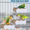 KATUMO Bird Perch Conure Cage Stand Parakeet Shredder Foraging Toys Cockatiel Platform for Small Parrots Conure Cockatiel Lovebird Parrotlet Finch