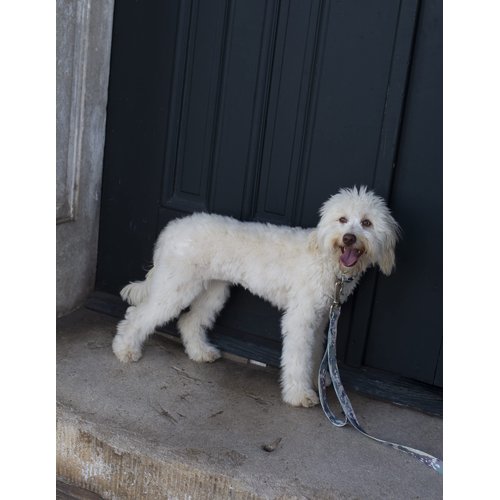 Country Brook Petz - Mountain Viper Camo Martingale Dog Collar and Leash - Camouflage Collection Featuring Rugged Designs (1 Inch, Medium)