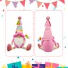 Funny Birthday Gifts for Women, Her, Mom, Girls, Women Friendship, Sister, Wife, Mother, Grandma - Happy Birthday Decorations for Party, Table - Birthday Plush Gnomes Couple - Birthday Decor