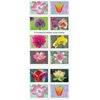 USPS Garden Beauty Forever Postage Stamps Book of 20 self-stick First Class Wedding Celebration Anniversary Flower Party (20 Stamps)