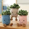 3pcs Plant Plush Toy Set: Succulent Pillow, Cute Cactus Plushies, Stuffed Potted Plants Doll - Flower & Succulent Plush (Pink, White, Blue)