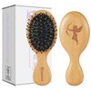 Hair Brush, Pocket Mini Travel Boar Bristle Hairbrush for Thick Thin Curly Straight Long Short Wet Dry Hair for Men Women Kids for Smoothing Detangling Massaging Adding Shine