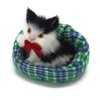 Coolayoung 4Pcs Sleeping Cat in Cattery Doll Toy, Mini Kitten on Pet Pad Decor for Office Desk Hand Toy Gift for Kids Boys Girls