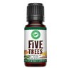 Creation Pharm Five Trees Aromatherapy Essential Oil Blend– Cinnamon, Frankincense, Clove, Lemon, Eucalyptus, Rosemary 15 ml, Diffusor Oil, Meditation, Purification