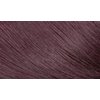 Bigen Speedy Conditioning Color Kit: 4B Burgundy Brown - 3 Pack