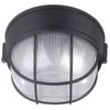 Canarm IOL17BK The Outdoor 1-Bulb Flush Mount Exterior Light with Frosted Glass Globe, Black
