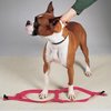Guardian Gear Nylon 2-Step Dog Harness, Fits Chests 9" to 15", Flamingo Pink