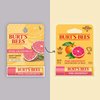 Burt's Bees Pink Grapefruit Lip Balm, Lip Moisturizer with Responsibly Sourced Beeswax, Tint-Free, Natural Conditioning Lip Treatment, 1 Tube, 0.15 oz.