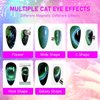 Vishine 9D Cat Eye Brown Gel Nail Polish with Magnet Galaxy Cateye Chameleon Nail Gel Polish Manicure Soak Off UV Gel DIY Salon Home 16ml