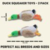 2-Pack Plush Duck Dog Toys with Squeakers, Crinkle Wings for Small Medium Dogs, Interactive Dog Toy, Durable Dog Toys to Keep Them Busy, Dog Chew Toy for Aggressive Chewers