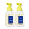 Bath and Body Works Sweet Tea & Lemonade Gentle Foaming Hand Soap 8.75 Ounce 2-Pack (Sweet Tea & Lemonade)