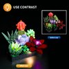 Vaodest LED Light for Lego Succulents 10309 Plant Decor Building Blocks Model,Design and Configuration Compatible with Model 10309(LED Light Only, Not Building Block Kit)
