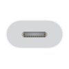 Apple USB-C to Lightning Adapter