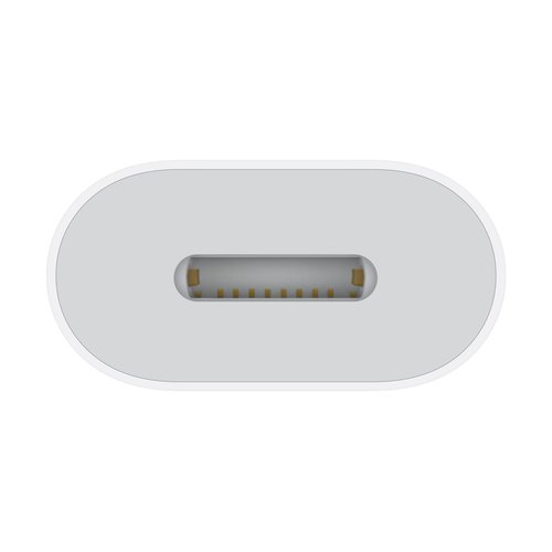Apple USB-C to Lightning Adapter