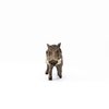 Schleich Wild Life, Animal Figurine, Animal Toys for Boys and Girls 3-8 years old, Warthog, Ages 3+
