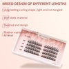 MLEN DIARY Individual Lashes Cluster Eyelash Extensions Long Volume False Lashes Wisps Lashes 0.07mm Soft Diy False Eyelashes Extension Premade Fans No Glue
