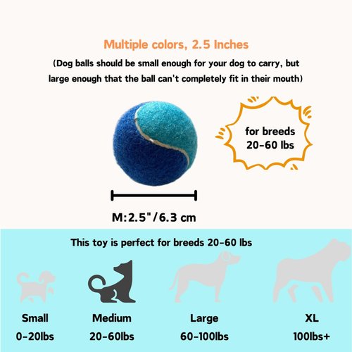 [CiaoPawS] 3 PCS Dog Tennis Balls Squeaky Dog Balls Dog Toys : Fetch Fun for Medium Size, 3 Balls Pack (2.5Inch) (M 3 PCS)