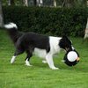 Hero Chuckles Ball Plush Dog Toy - Dog Squeaky Toys - Durable Ball with 3 in 1 Squeaker, Penguin