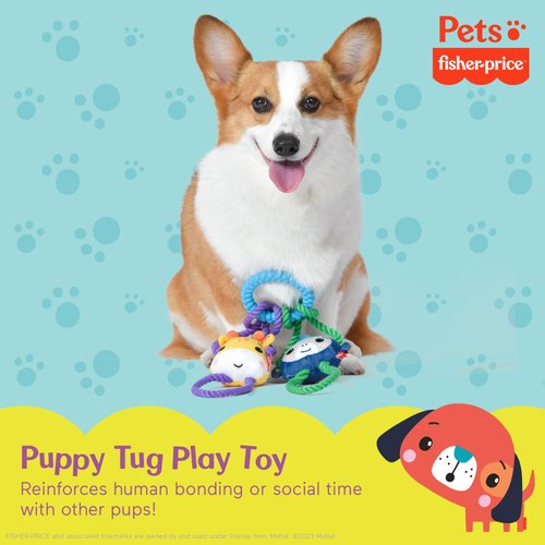 Fisher-Price for Pets 'Tugs with Friends' Interactive Tug Toys for Dogs | Fetch Dog Toy, Tug Dog Toy, Enrichment Dog Toy, Puppy Teething Toy | Multifunctional Dog Toy
