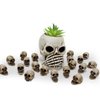 BinaryABC Mini Skull Figurine Miniature Skeleton Head Table Decor,Halloween Micro Landscape Figure,Halloween Prank Props,Haunted Dollhouse Accessories,20PCS