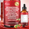 VivoNu Advanced Berberine & Cinnamon Drops – 14-in-1 Herbal Extracts with Chromium, Gymnema, Turmeric, Apple Cider Vinegar, Cayenne – 1800mg Potent Liquid Formula