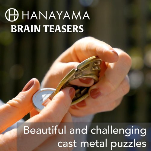 KEY II Hanayama Cast Metal Brain Teaser Puzzle (Level 2)