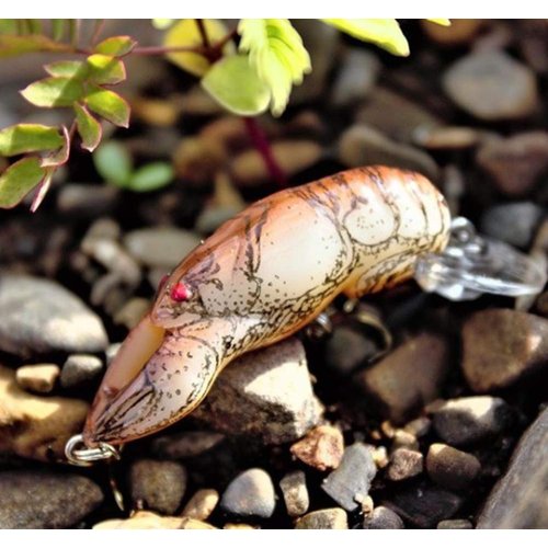 Rebel Lures Wee-Crawfish Fishing Lure (2-Inch, Nest Robber), Wee (5-7 ft Depth)