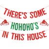 Red and Green Glitter There's Some HoHoHos in This House Banner, Funny Christmas Banner Decorations, Christmas Party Banner for Xmas Holiday Party Home Office Fireplace Mantel Decorations