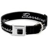 Dog Collar Seatbelt Buckle Barracuda Script Logo Black Silver 13 to 18 Inches 1.5 Inch Wide