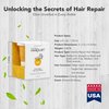 Hairgurt Intense Repair Yogurt Deep Conditioner Treatment Hair Masque - Best Hair Mask for Thicker, Fuller Hair, Organic Oils for Bleached Hair, Protein Hair Mask With Prebiotics, Anti Frizz Hair Mask