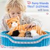Skylety Nurturing Cat Stuffed Animal with Plush Kittens, Valentine Cat Baby Stuffed for Girls and Boys Plushy Kitty Mommy Cat with 4 Baby Cats for Birthday Party Favors Gifts(Cute Style)