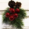 Pine Cone Red Berry Picks Stems Crafts Branch Christmas Wreath - 10Packs, Holly Artificial Evergreen Branches Tiny Pine Cones Picks Décor Floral Picks for Christmas Flower Wreaths DIY Xmas Gifts